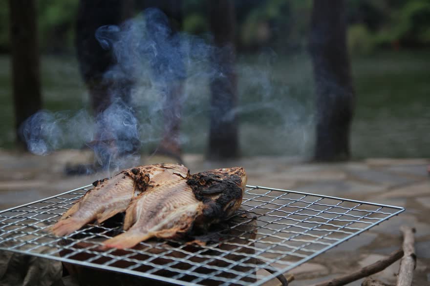 Whole fish grilling over charcoal